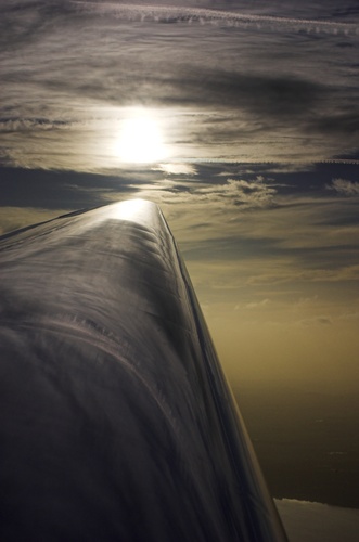 Sky reflected in GBB's wing