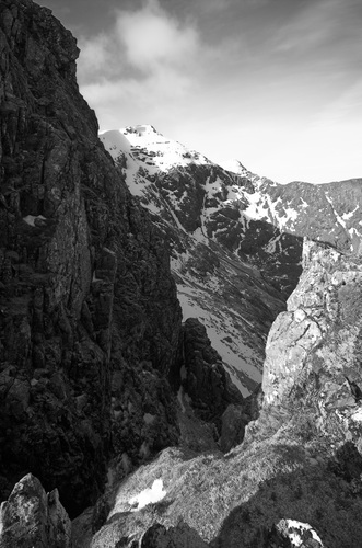 Not giant compatible