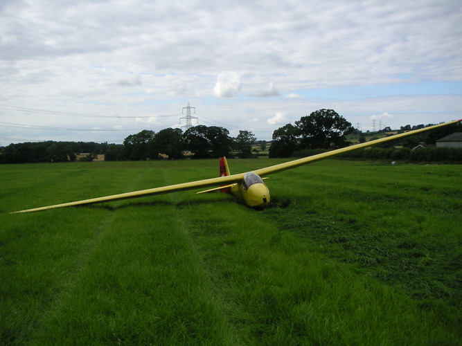 Snoopy's last task week 2005 field