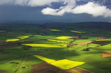 Sunlit rape field and wall of rain
